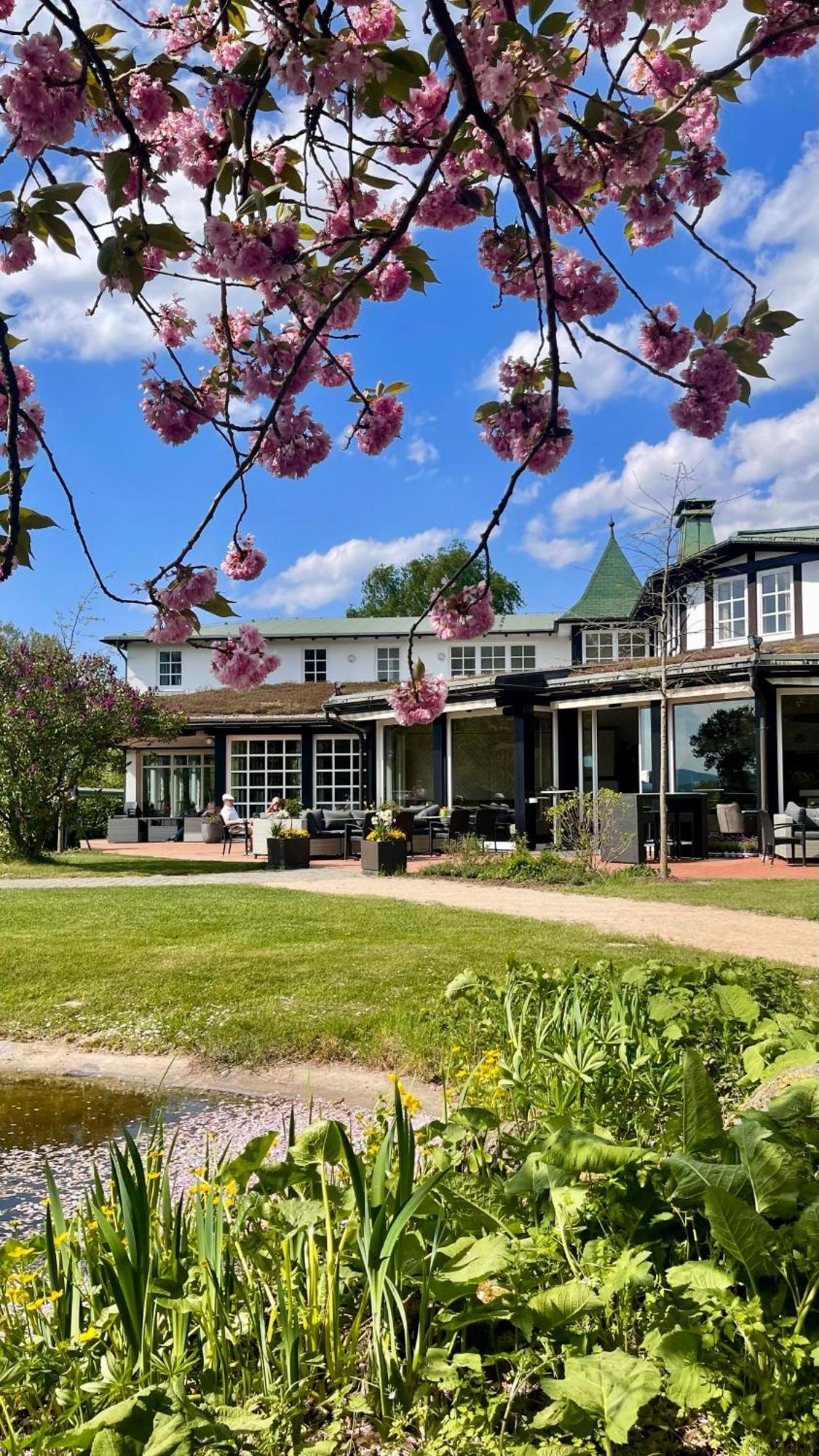 Hotel Deimann Schmallenberg Exteriér fotografie